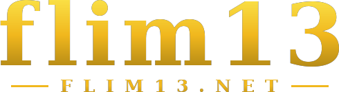 flim13 logo